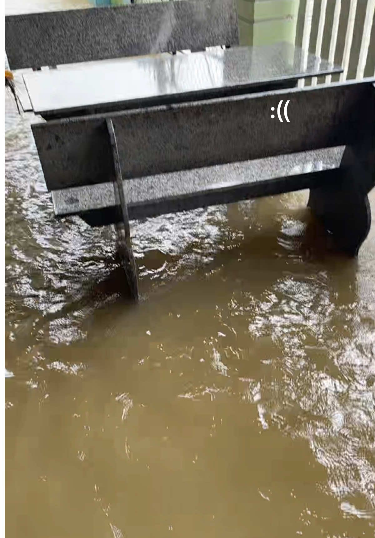 #lũlutmientrung #xuhuongtiktok #đônghoaphuyen 