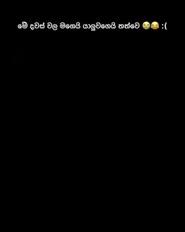 කලූ 😅 | Full credit goes to original owner ❤️‍🩹#foryou #fyp #viral #alevel #exam