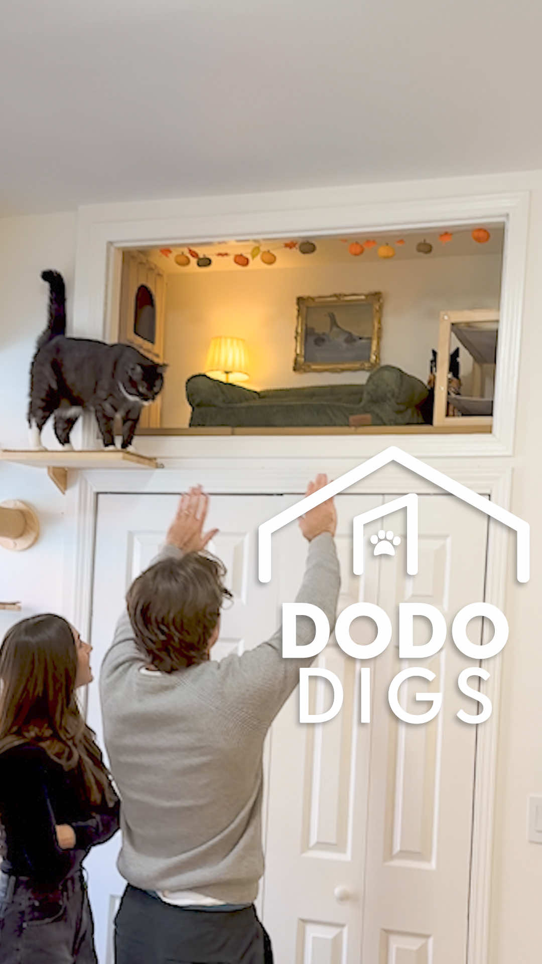 Their humans turned part of their apartment into a cozy little cat loft — complete with furniture, art, and twinkle lights ❤️ Our host @Isabel Klee is back for another episode of Dodo Digs and this one’s a true love letter to cats. She visits Sarah and Derek, who share their Lower East Side apartment with their beloved @Lox and Lottie  Presented by @T-Mobile 