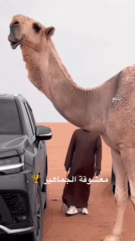 #ابن_جخدب #اكسبلورexplore #سعود_القحطاني #ترند_تيك_توك #الموت_الحمر 