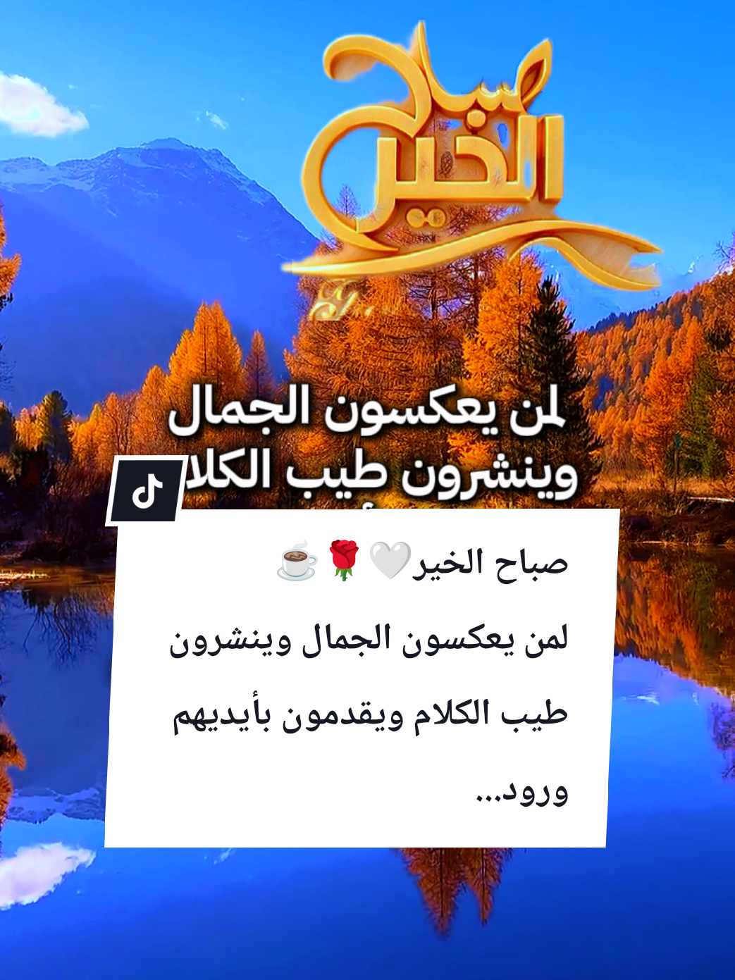 #souzan396 #صباح_الخير  صباح الخير🤍🌹☕لمن يعكسون الجمال...