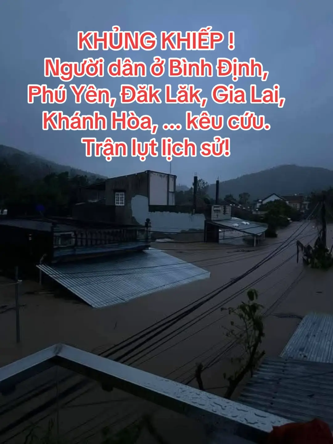 Người dân ở Bình Định, Phú Yên, Đăk Lăk, Gia Lai, Khánh Hòa, ... kêu cứu rất nhiều. Bà con gửi ảnh, nước ngập nóc nhà rồi. Trên Tây Nguyên cũng ngập nóc nhà luôn. Trận lụt lịch sử !