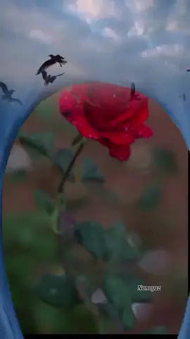 #CapCut🖤🖤🖤 #بهذا_الزمن_صارت_طيبه_القلب_بتوجع😔🥀🖤#تعبتنا_هالحياة  #الدنيا_علمتني_يوم_كذا_ويوم_كذا🖤🥀🥀🥀