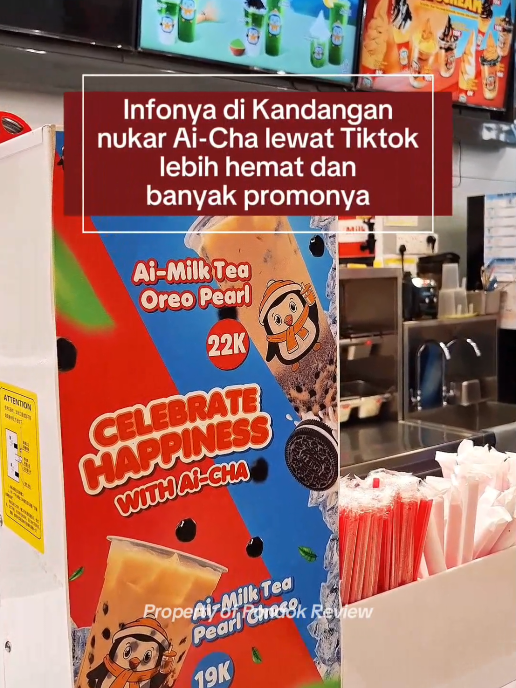 Promo Ai Cha Teluk Masjid Kandangan #aicha #promoaicha #aichatelukmasjid #promotiktok #tiktokgo 