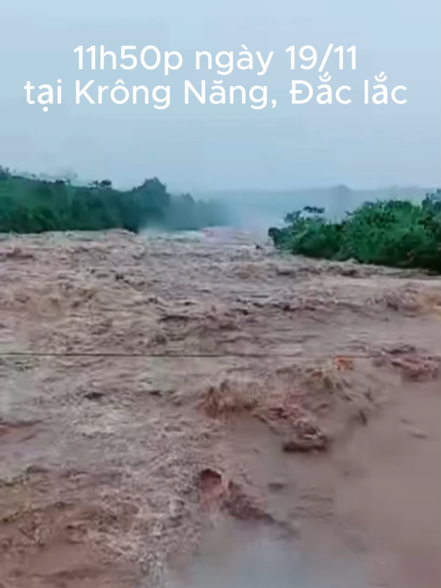 11h50p ngày 19/11 tại Krông Năng, Đắc lắc. Nước chảy rất siết... Câu mong...#krongnang #krôngnăng #daclack #đắclắc #xuhuong