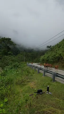 Khi bạn chọn bình yên. Bạn phải tạm biệt với nhiều thứ..!!#thichlangthang42 #xuyenviet #CapCut #dochanh #xuhuong 