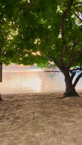 Urayaaa 🌴🌊 #beachvibes #samal #urayabeachsamal #fyp #foryou