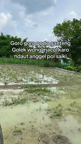 Dasare warga namdua nek ra ganteng ora di KOKOP👋#fypシ゚viral #petanimuda #fyp #fouryou #fyppppppppppppppppppppppp 