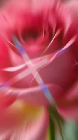 #foryou #vairal #video # আমি পৌবাস নামের# জেলখানা# 