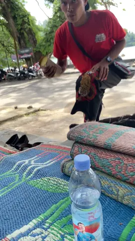 Jan kemekel eneng promosi getok🤣 #fyp #masukberanda #viral #telagangebelponorogo #ponorogo24jam 