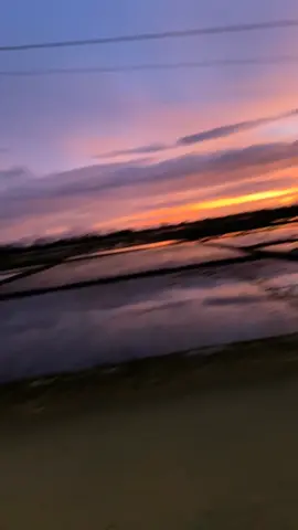 nikmati keindahan dunia ini yang bersifat sementara#sunset #keindahanalam #cilacap #jawatengah #fyppppppppppppppppppppppp 