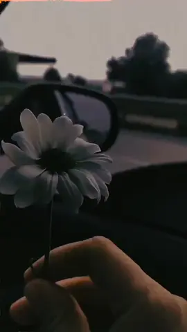 oh bedardiya Arijit Singh  #arijitsingh #songs #foryoupage #stlyrics 