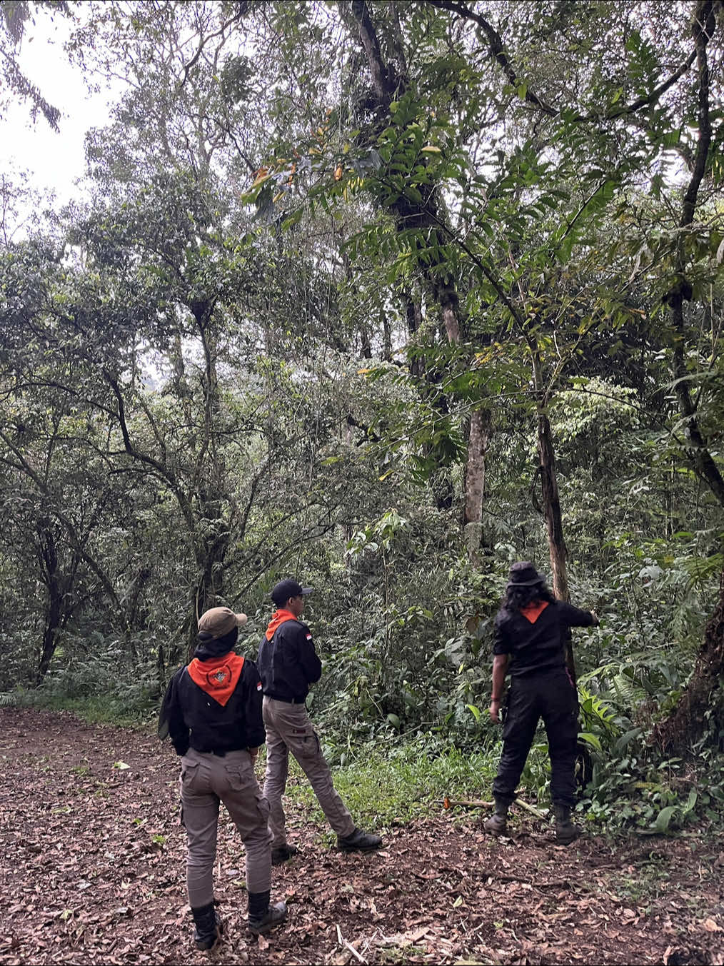 Survival, mukbang sayang mukbang 😭😂 #survival #mapalaindonesia #salamlestari #mapalahimalaya 