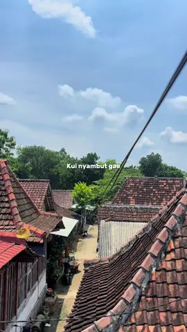 tatag kok ya#bojonegoro24jam #bojonegoro_jawatimur#teknisi #rtrwnet #fyppppppppppppppppppppppp 