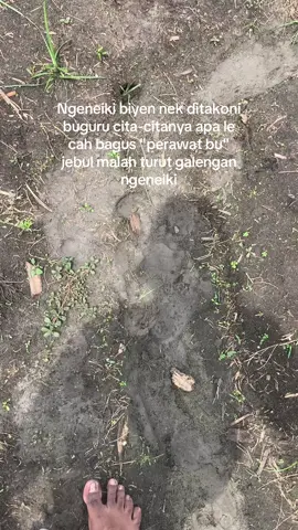 P1-perawat P2-petani #petanimuda #fyp #petaniindonesia🇮🇩🇮🇩🇮🇩🌿🌿 #perawat #xybca 