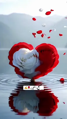 #اللهم آمين يا رب يا كريم#♥️♥️♥️🕊️ #كسسسسسسبلوور♡✿🌹✔ 