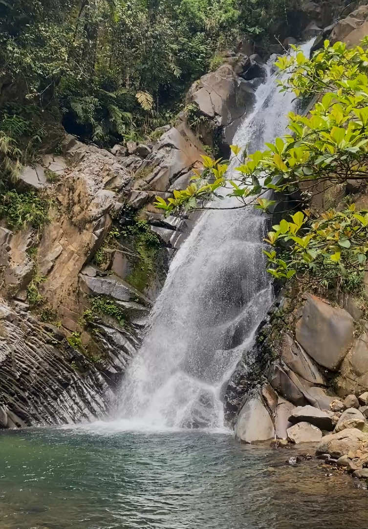 hidden curug di bogor 🍃✨💦 #curugbogor #rekomendasicurugbogor #curugcidurian 