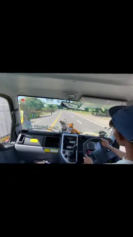 jaman semono #fyp #truck #masandrik #tebu 