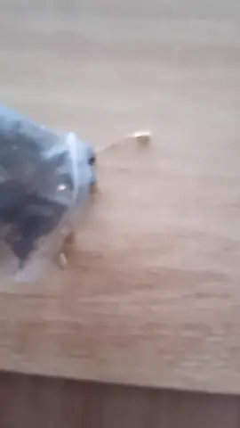 #grindercarbonbrush  #20pcscarbon