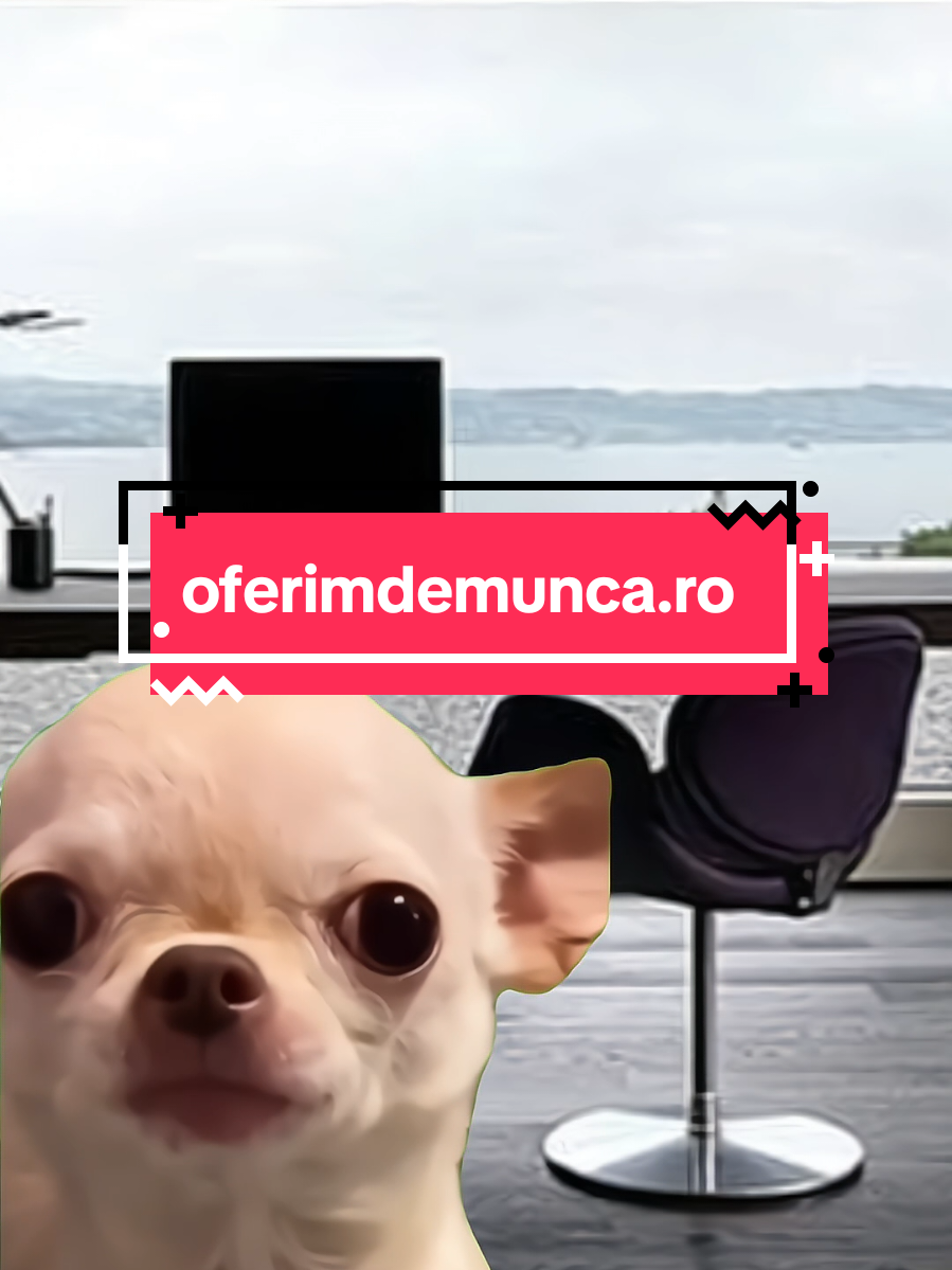 Aplică acum pe oferimdemunca.ro pentru următorul tău job de succes! #capcut_edit #capcutedit #memes #memestiktok #job 