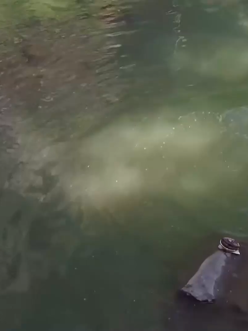 ត្រឡប់ទៅកាន់រជ្ជកាលឈីង ភាគ៥ #រឿងចិននិយាយខ្មែរ #រឿងភាគចិន