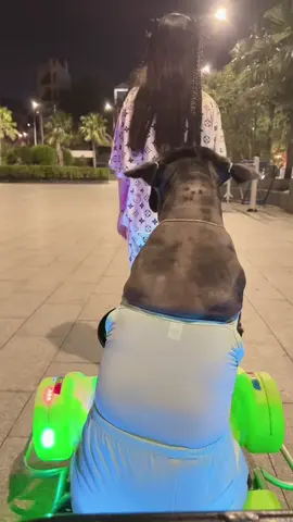 Quá trớn 🙄🙄#ngansh #monghoi #viral #fyp 