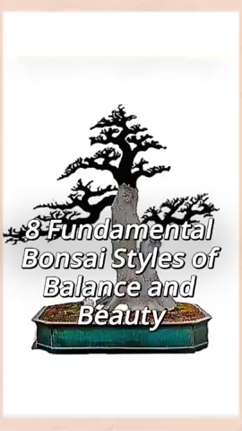 inspirasi buat bahan bahan bonsai yang bisa kita ambil jadi bahan bonsai  #bonsai #bonsaiindonesia #bonsaiart 