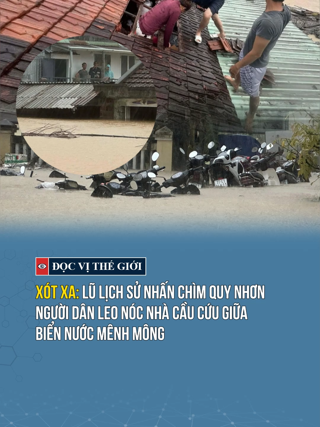 Lũ lịch sử nhấn chìm Quy Nhơn, người dân leo nóc nhà cầu cứu giữa biển nước mênh mông #docvithegioi #tiktoknews #tintuc #news