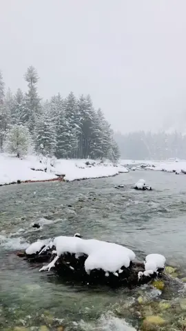 Snowfall sitamgar scene 🎬 👌❤️❄️❄️❄️❄️#kumrat_valley #foryou #viralvideo #ihsankumrat #foryourpage 