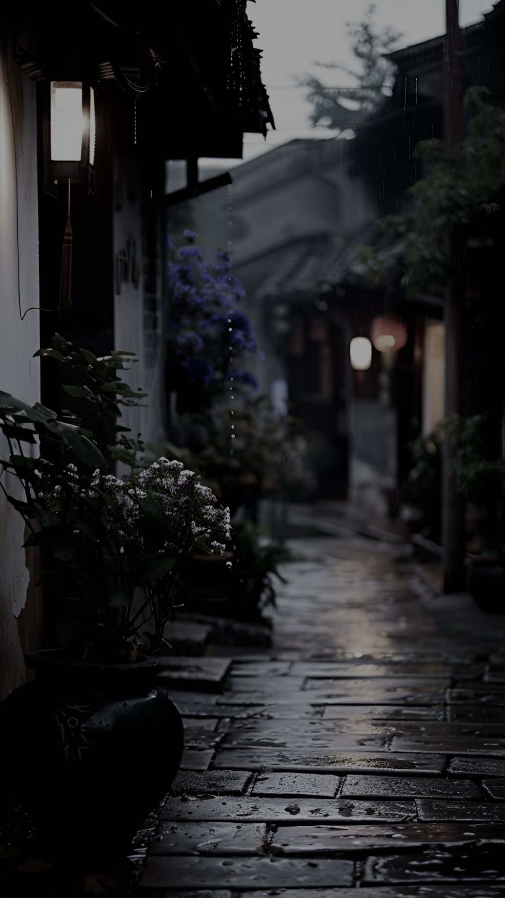 Hôm nay ngày quốc tế đàn ông#sbtentertainment #xuhuong2025 #podcast #quoctedanong 