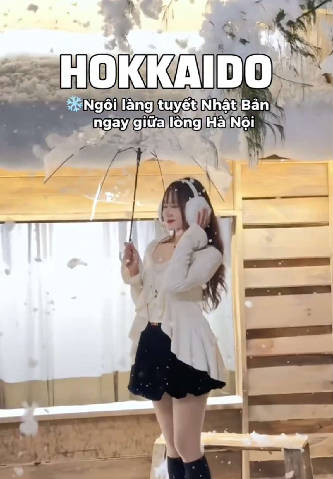 ❄️☃️Chụp xong bộ ảnh về có thể là sĩ nguyên mùa Noel😭. Đẹp chấn động luôn á #hokkaido #hamtruan #reviewquancafe #checkinsongao #cafehanoi 