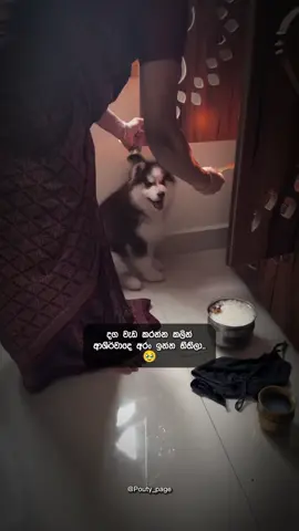 එයා 🥹🫶 #foryou #fypシ #fyp #pouty_me #pouty_you🥺 