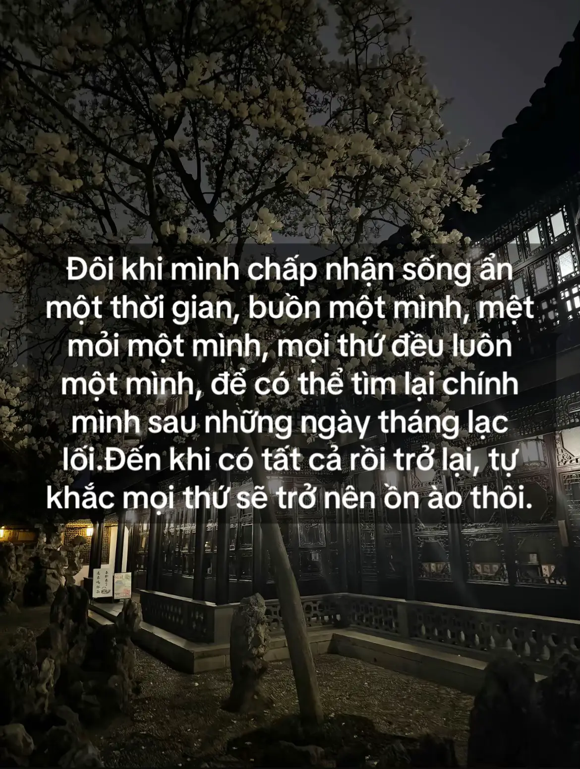 Đôi khi mình chấp nhận sống ẩn một thời gian, buồn một mình, mệt mỏi một mình, mọi thứ đều luôn một mình, để có thể tìm lại chính mình sau những ngày tháng lạc lối.Đến khi có tất cả rồi trở lại, tự khắc mọi thứ sẽ trở nên ồn ào thôi. #xh #xuhuong 