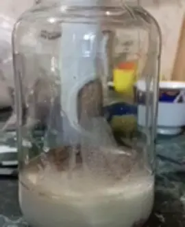 элексир бессмертия