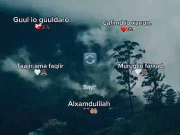 Alx☝🏻💗#jawi_bila🌊❤️🌴 typing  #somalilyrics🌺😕💎  #speed_songs🕸️🐻 #fpyシ #somalitiktok12 