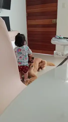 La amistad más pura 🐶✨ #LaVieEnRose #BabyTok #DogTok #fyp #viral 