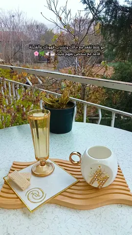 هواء بارد، هدوء أنيق🍁🍂 ما أجمل بدايات الشتاء⛈️🌦#🎻 #🌹🌹🌹 #❤️ #صباح_الخير #❤️‍ 