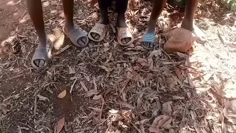 #creatorsearchinsights  #titokviralvideo  #visualizar  @Miúdos de Foxh  @Catlen  #creatorsearchinsight 