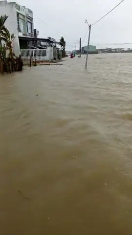 Lũ lịch sử của lũ lịch sử. Thương quá Bình Định ơi vừa mới bão xong giờ đến lụt lịch sử 🥹 #77binhdinh #lulut #lulutmientrung 