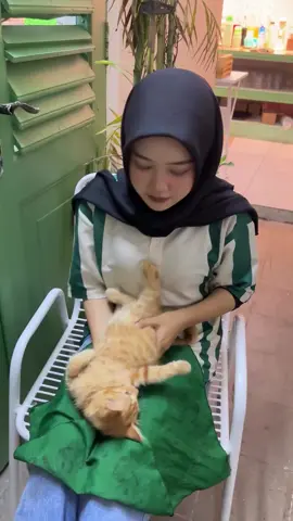 #fyp #catlovers #kucinglucu 