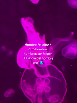 FELIZ DIA BRO🫂#hombres #fyp #LIVEIncentiveProgram #LIVEFEST2025 #MakeLIVECount 