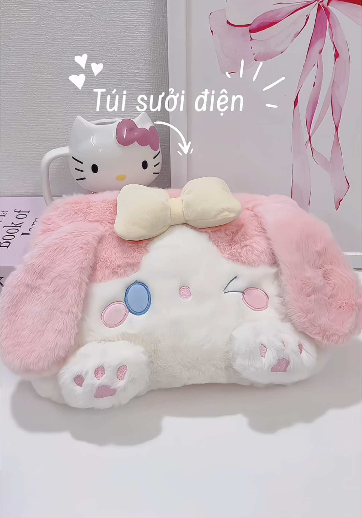 Mùa đông có em túi sưởi cute này là hổng sợ lạnh luôn á nha #tuisuoiam #tuisuoi #tuichuombung #phukienmuadong #xuhuong 