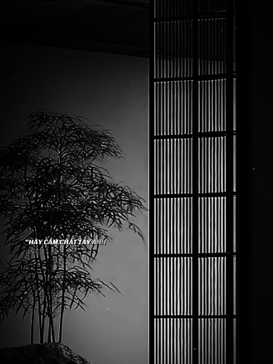 Mọi chuyện buồn cũng  sẽ qua thôi..!#sbtentertainment #nhachaymoingay #music202_ #suy #nhac 