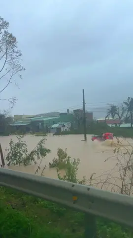 Thương quá miền trung ơi☹️#77binhdinh 