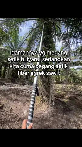 apa lah daya yg cuma megang setik fiber sawit 😭#fyp #panensawit 
