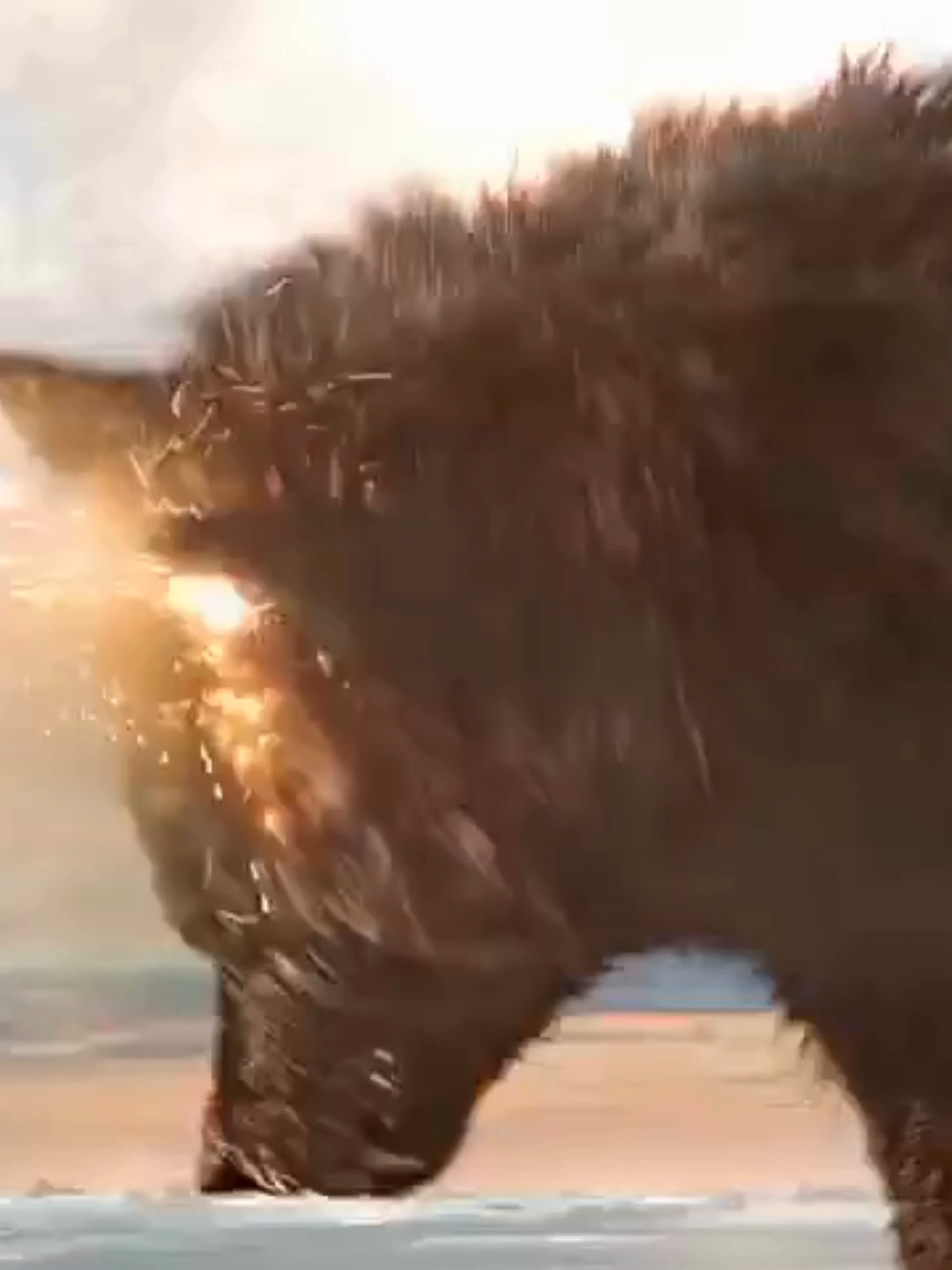 Thor 3 Ragnarok (2017) ศึกอวสานเทพเจ้า 3 ดูหนังฟรีออนไลน์ #ฮ่าๆขําๆ