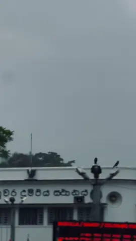 Background video 4u ❤️ #achintha_madushan #achi #backgroundvideo #foryoupage #viraltiktok 