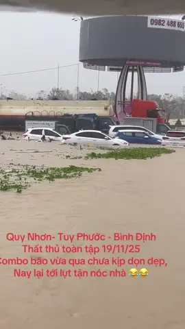 Bất lực-  lịch sử 19/11/25 tại Quy Nhơn - Bình Định lũ#thuonglammientrung #binhdinhquetoi #lulichsu2025 