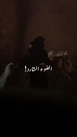 الضوء الشارد 🐎. . #الضوء_الشارد #خيل_وخياله🐎 