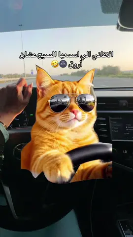 #Meme  #وياكم_بل_ترند💅 #explore #شعب_الصيني_ماله_حل😂😂 #حركة_إكسبلور 